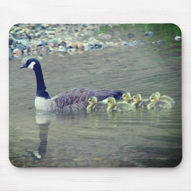 Canada Goose Mom Babies Nature  Mouse Pad (Front)