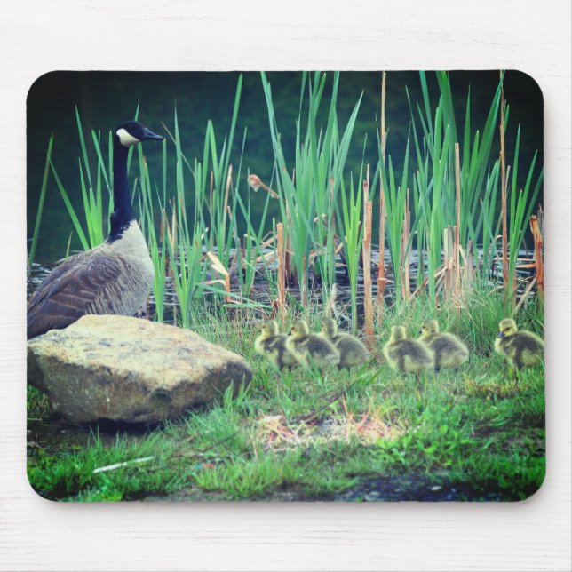 Canada Goose Mom Babies Nature Mouse Pad (Front)