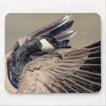 Canada Goose Mouse Pad by debscreative at Zazzle