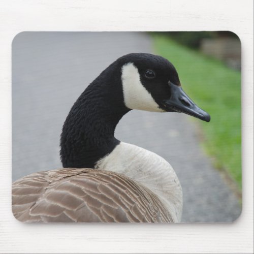 Canada goose mouse pad