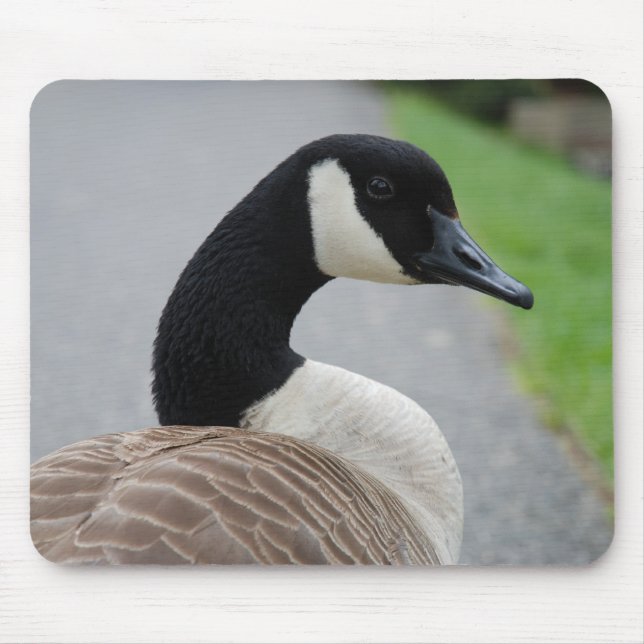 Canada goose mouse pad (Front)