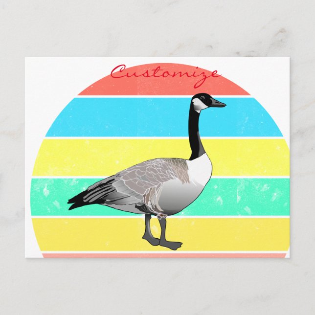 Canada Goose Multi-color Sun Thunder_Cove Postcard (Front)
