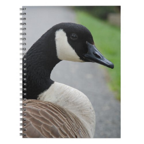 Canada goose notebook