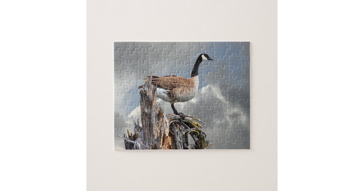 CANADA GOOSE ON A SNAG JIGSAW PUZZLE