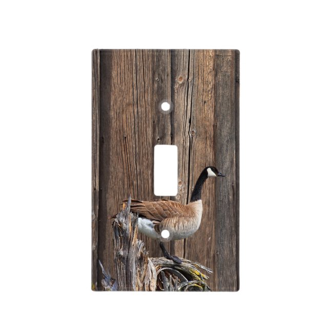 CANADA GOOSE ON BARN BOARD LIGHT SWITCH COVER (Front)