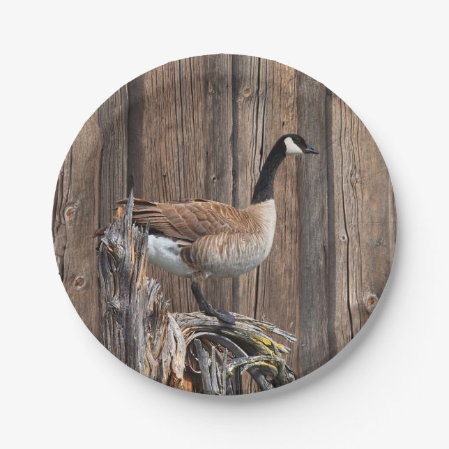 CANADA GOOSE ON BARN BOARD PAPER PLATES (Front)