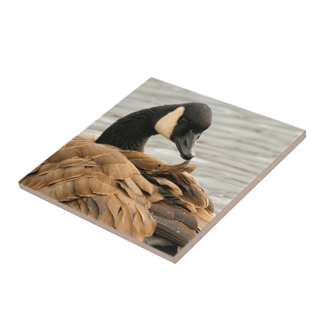 Canada Goose on the Lake Ceramic Tile (Side)