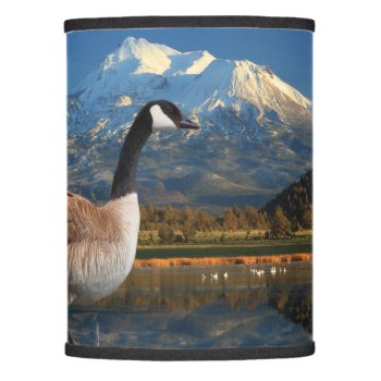 Canada Goose On The Lake Lamp Shade by CNelson01 at Zazzle