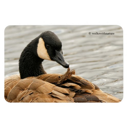 Canada Goose on the Lake Magnet