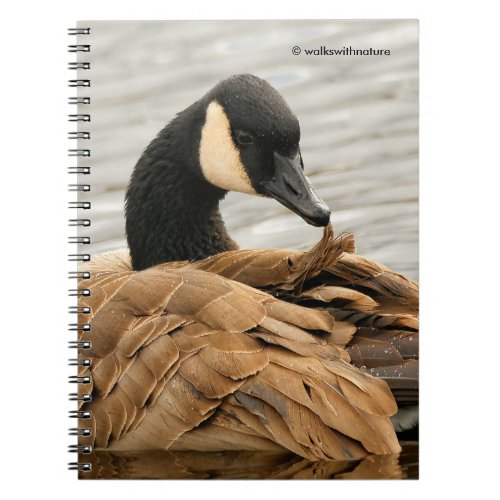 Canada Goose on the Lake Notebook