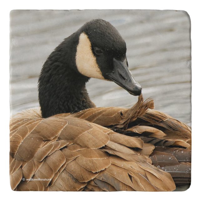 Canada Goose on the Lake Trivet (Front)