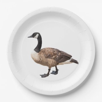 Canada Goose Paper Plates by PixLifeBirds at Zazzle