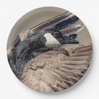 Canada Goose Paper Plates