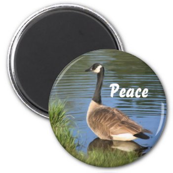 Canada Goose Peace Inspirational Magnet by SmilinEyesTreasures at Zazzle