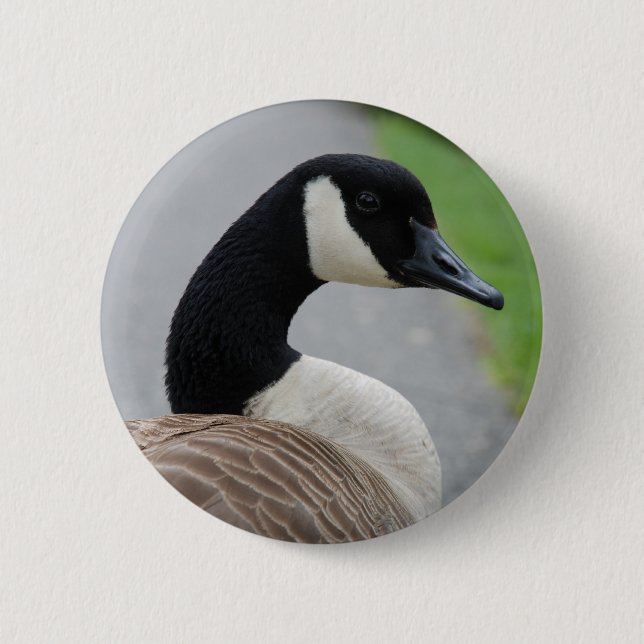 Canada goose pinback button (Front)