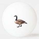 Canada Goose Ping Pong Ball at Zazzle