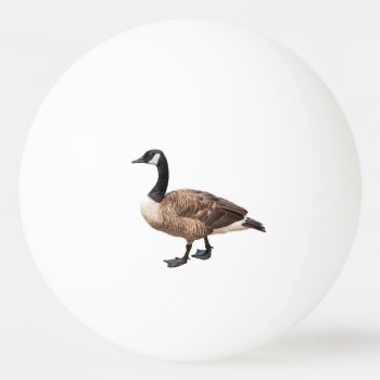 Canada Goose Ping Pong Ball by PixLifeBirds at Zazzle