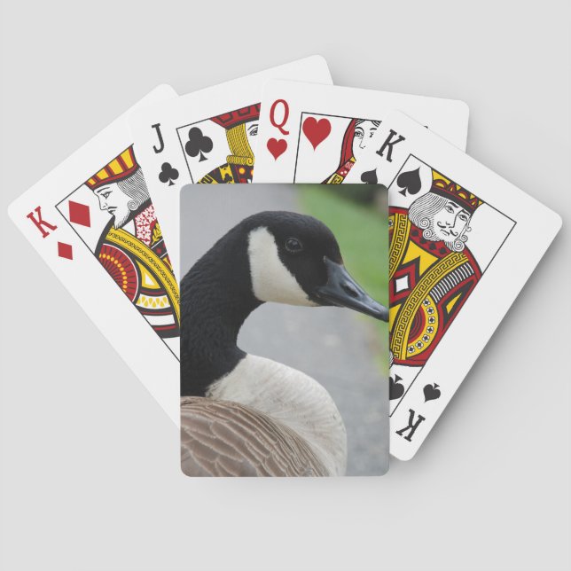 Canada goose poker cards (Back)