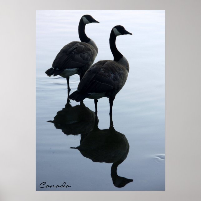 Canada Goose Poster Custom Canada Souvenir Poster (Front)