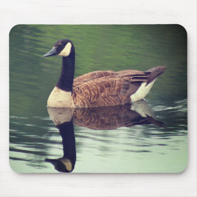 Canada Goose Reflections Nature  Mouse Pad (Front)