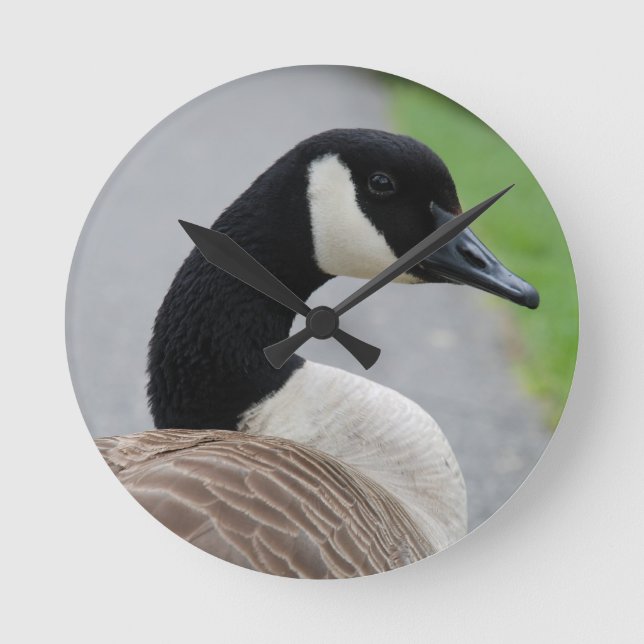 Canada goose round clock (Front)