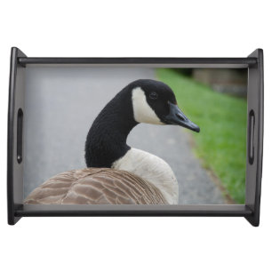 Canada goose serving tray