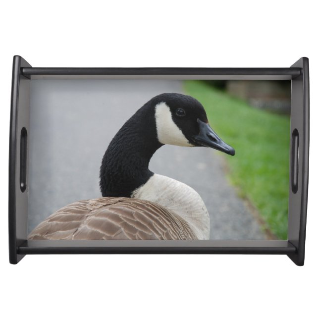 Canada goose serving tray (Front)