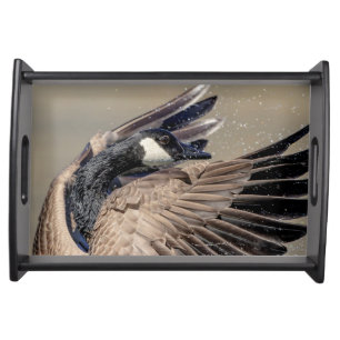 Canada Goose Serving Tray