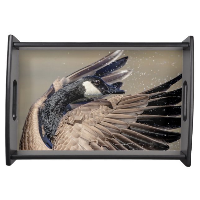 Canada Goose Serving Tray (Front)