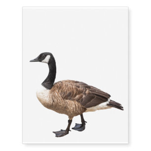 Canada Goose Temporary Tattoos