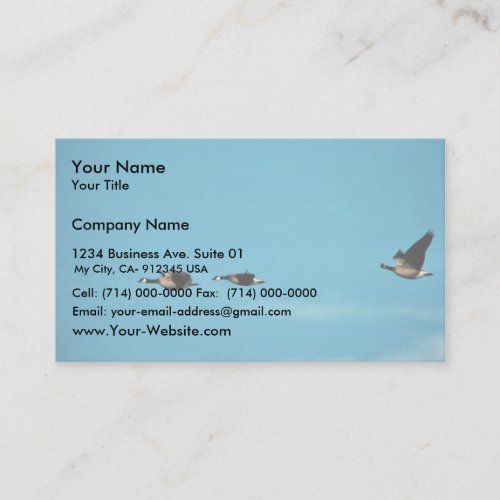 Canada goose trio in flight business cards