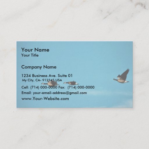 Customizable Canada goose trio in flight business cards