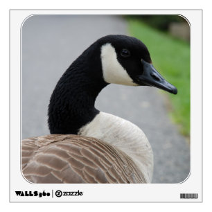 Canada goose wall sticker