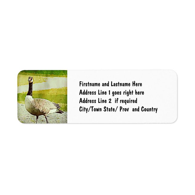 Canada Goose - Watercolor Painted Effect Label (Front)