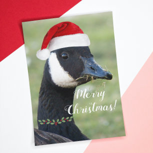Canada Goose Wearing Red Santa Hat Holiday Card