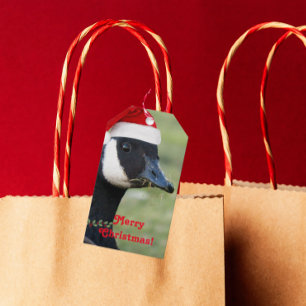 Canada Goose Wearing Santa Hat Holiday Gift Tags