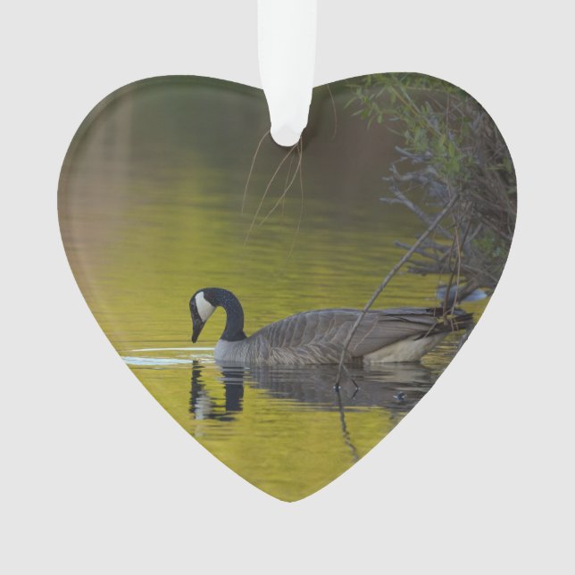 Canada Goose Wildlife Lake Dated Photo Custom Ornament (Front)