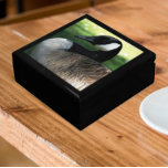 Canada Goose Wildlife Photo Gift Box<br><div class="desc">For animal and nature lovers! Store trinkets,  jewelry and other small keepsakes in this wooden gift box with ceramic tile featuring the wildlife photo image of a beautiful Canada Goose. Select your gift box size and color.</div>