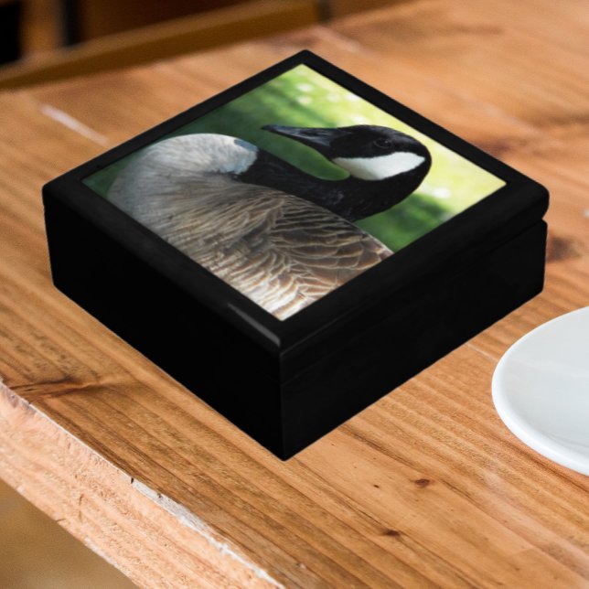 Canada Goose Wildlife Photo Gift Box (In Situ Angled)