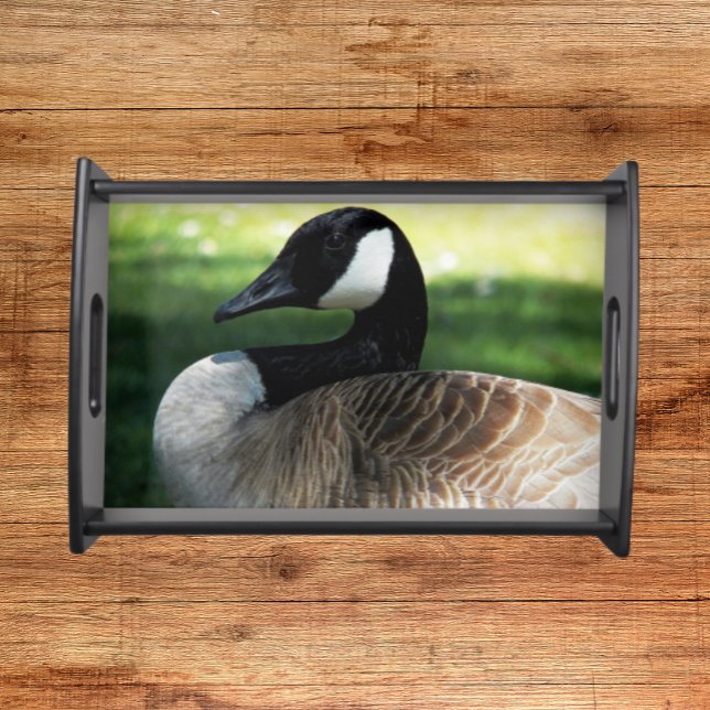 Canada Goose Wildlife Photo Serving Tray (In Situ Black)