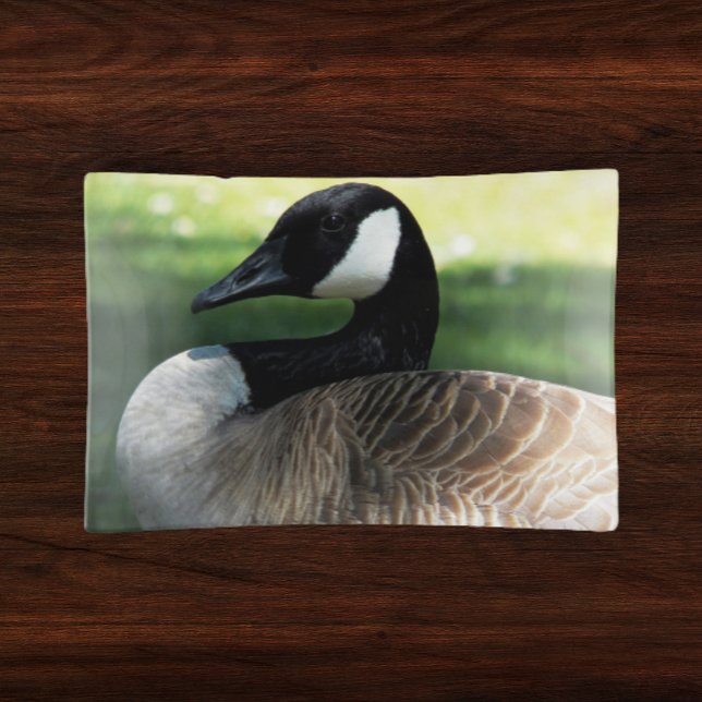 Canada Goose Wildlife Photo Trinket Tray (In Situ)