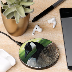 Canada Goose Wildlife Photo Wireless Charger