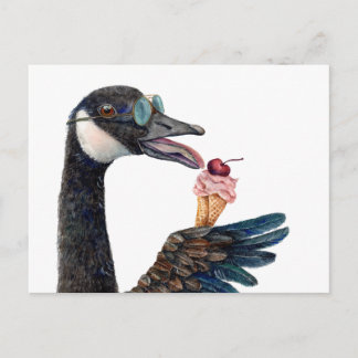 Canada Goose with Ice Cream Postcard