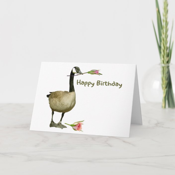 Canada Goose With Rose Birthday Card 