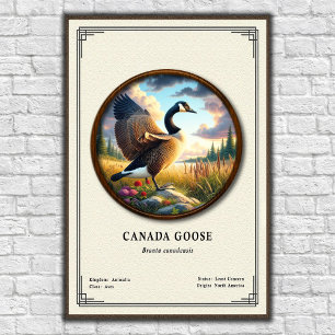 Canada Goose Zoology Series Poster