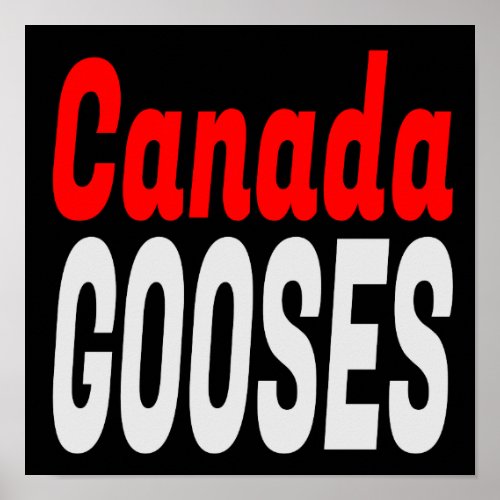 Canada Gooses LetterKenny Funny Novelty Poster