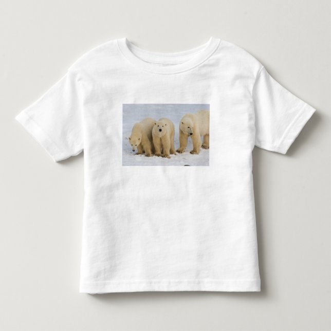 Canada, Hudson Bay. Polar bear mother with two Toddler T-shirt (Front)