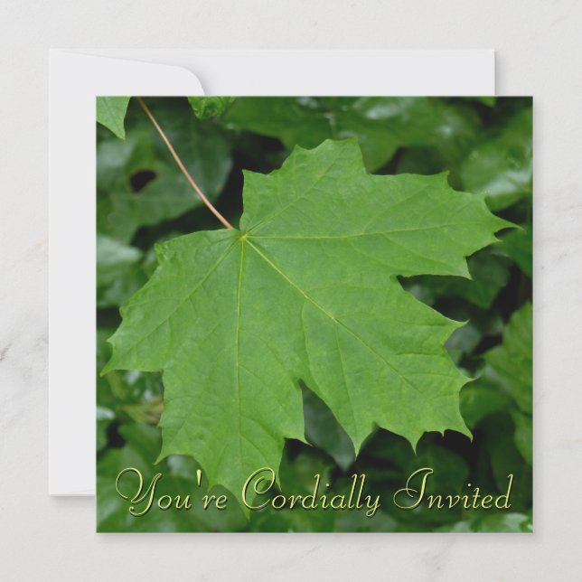 Canada Invitations Personalized Maple Leaf CN RSVP (Front)