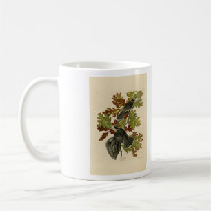 Canada Jay (Gray Jay) - Audubon's Birds of America Coffee Mug