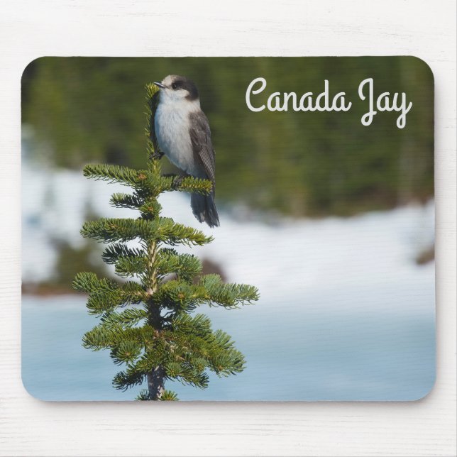 Canada Jay Mouse Pad (Front)
